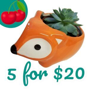 Flora the Fox Ceramic Succulent Pot 4" Decor Kawaii Candles Plants Organizer NWT